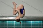 Maddy Morrison  Wheaton College Women's diver Maddy Morrison competes against Babson College, January 11, 2020. - Photo By: KEITH NORDSTROM : Wheaton, Swimming, Maddy Morrison